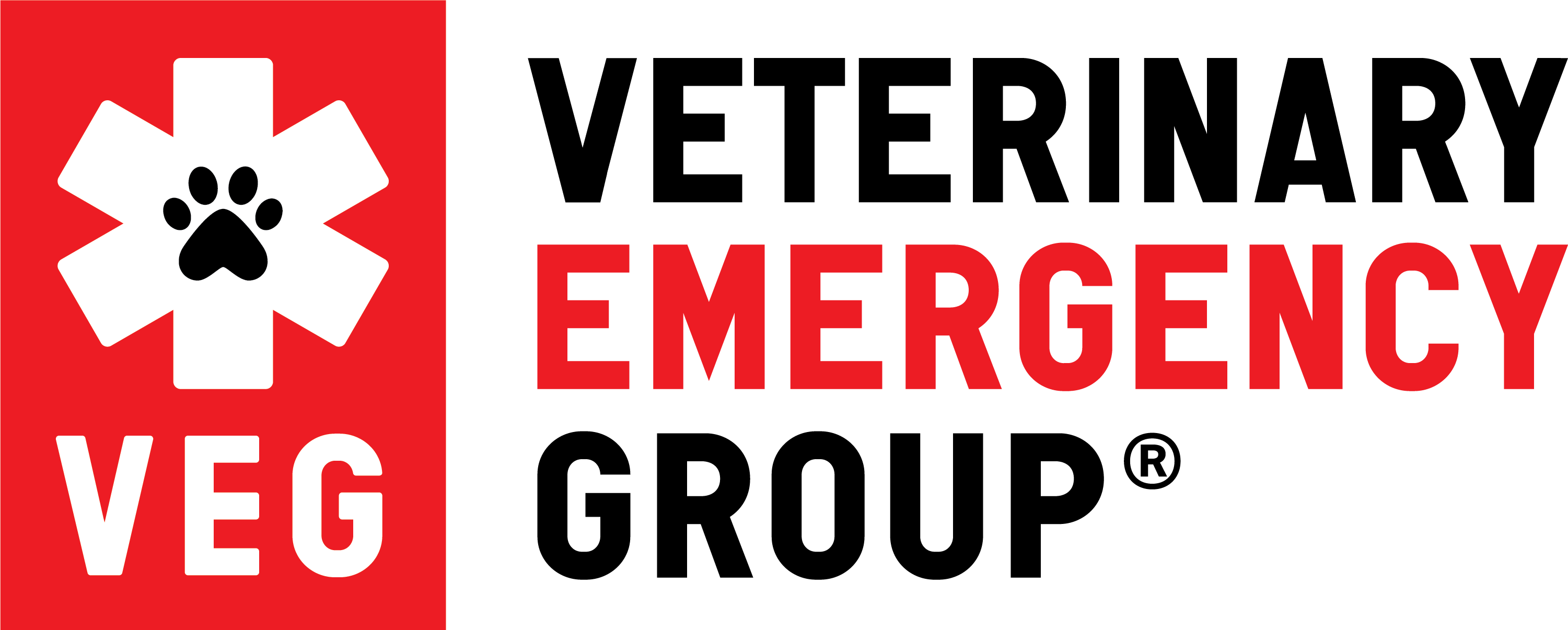 VEG_Logo_Primary_Stack (1)-1